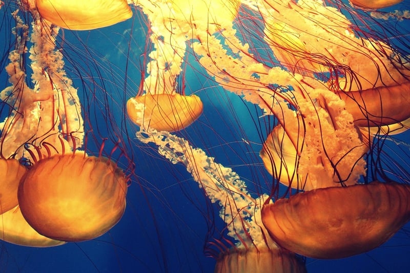 Deep-Sea Alien Ecosystems
