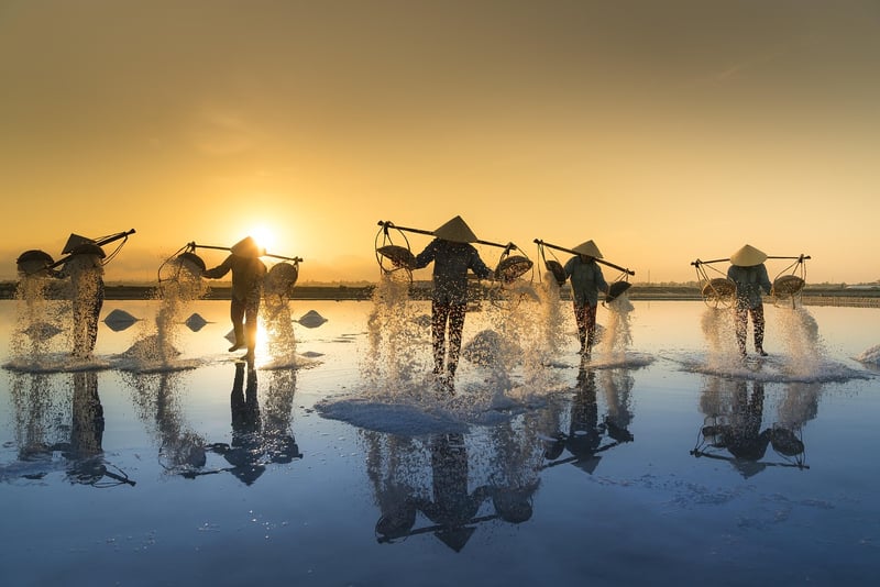 Lunar Water Harvesting