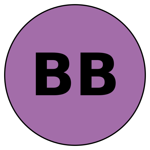 BraveBoundaries